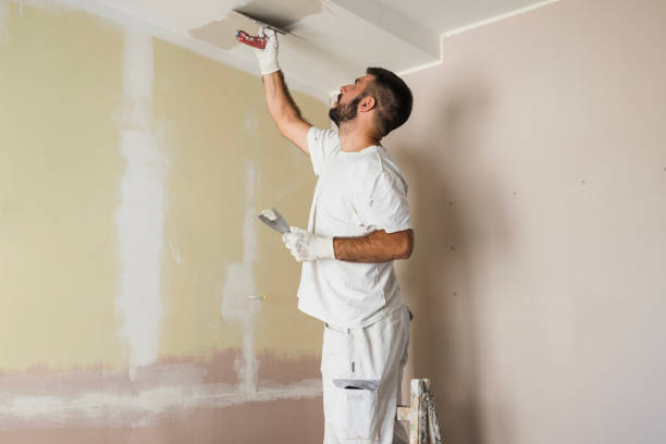 COMMERCIAL PLASTERING SERVICES: Elevating Your Business Space